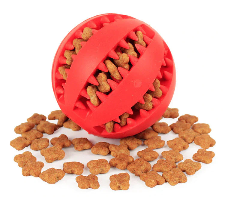 Deslanador Profesional para Mascotas con Botón de Liberación + Pelota Limpia Dientes